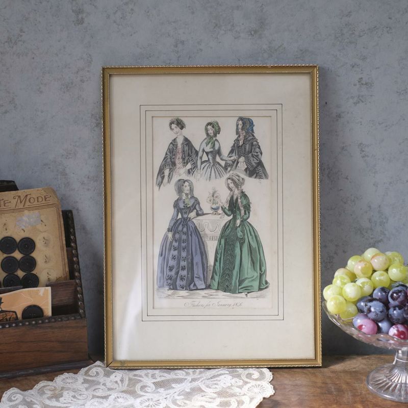 フランス ボタニカル画 石版画の額装品 １８９１年 フランス ボタニカル画 石版画の額装品 1891年