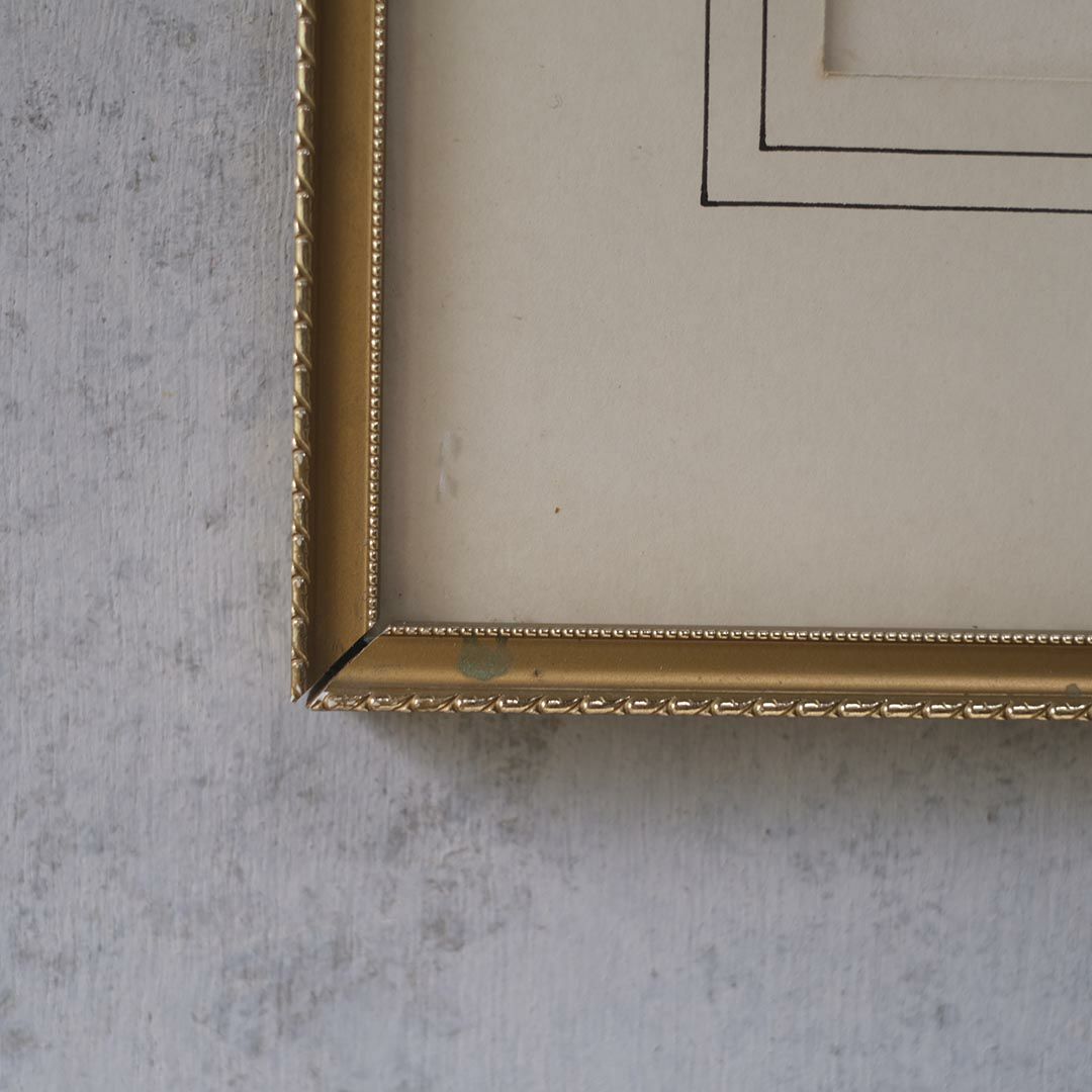 アンティークリトグラフピクチャー ドレスを着た婦人 フランスのファッション画 石版画　絵8