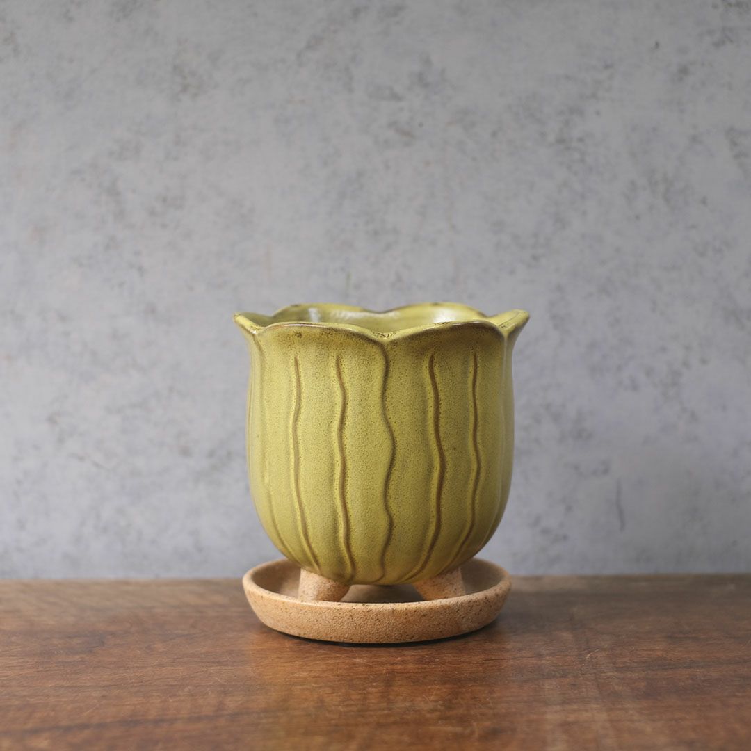 童話の鉢植えシリーズ 陶器のプランター&受け皿セット チューリップ 黄色1