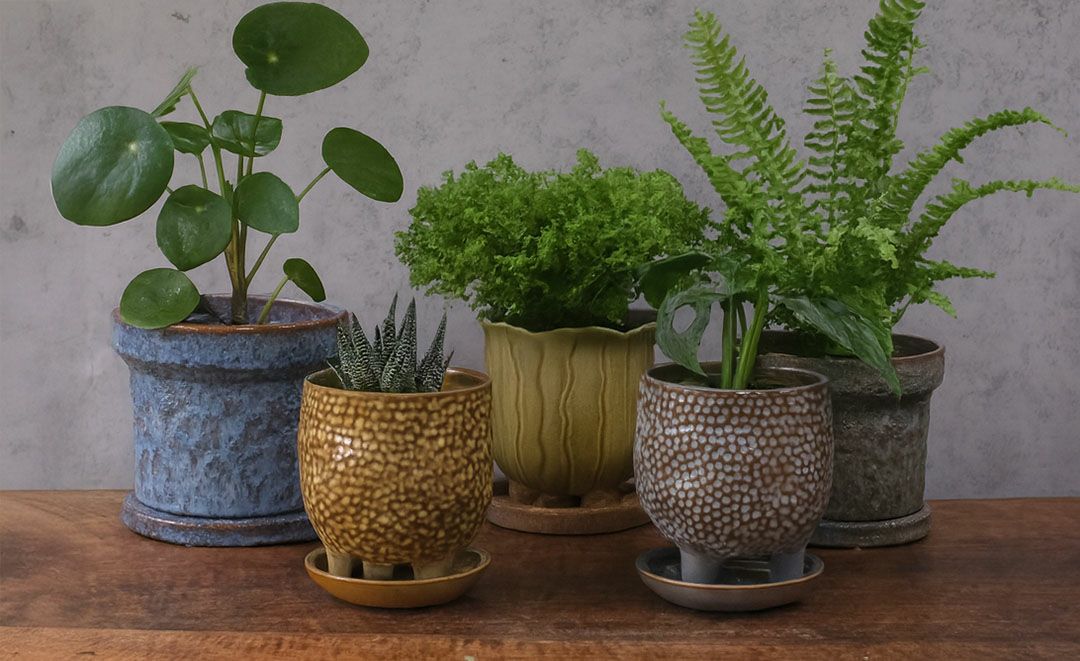 童話の鉢植えシリーズ 陶器のプランター&受け皿セット チューリップ 黄色8