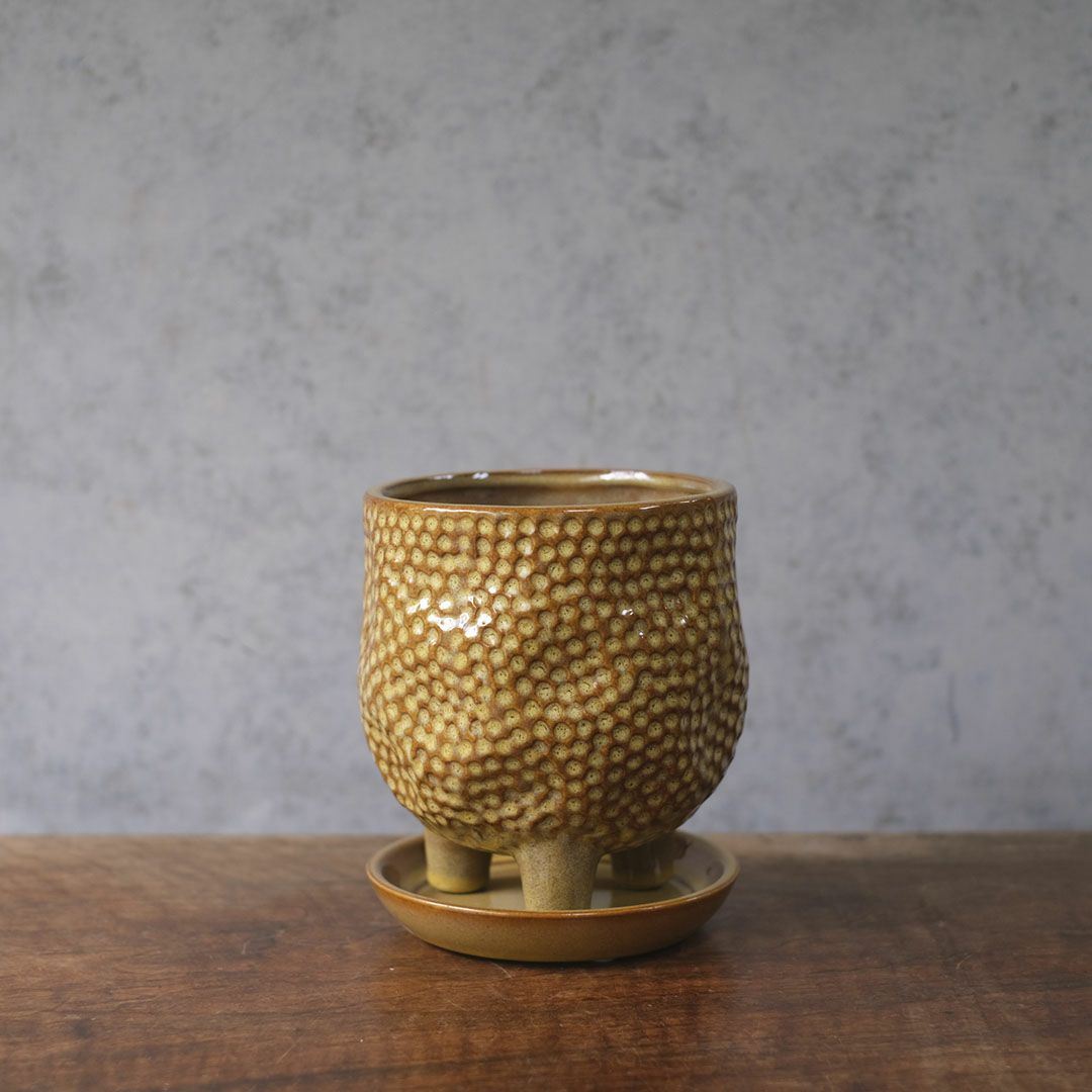 童話の鉢植えシリーズ 陶器のプランター&受け皿セット 3本足 ブラウン1