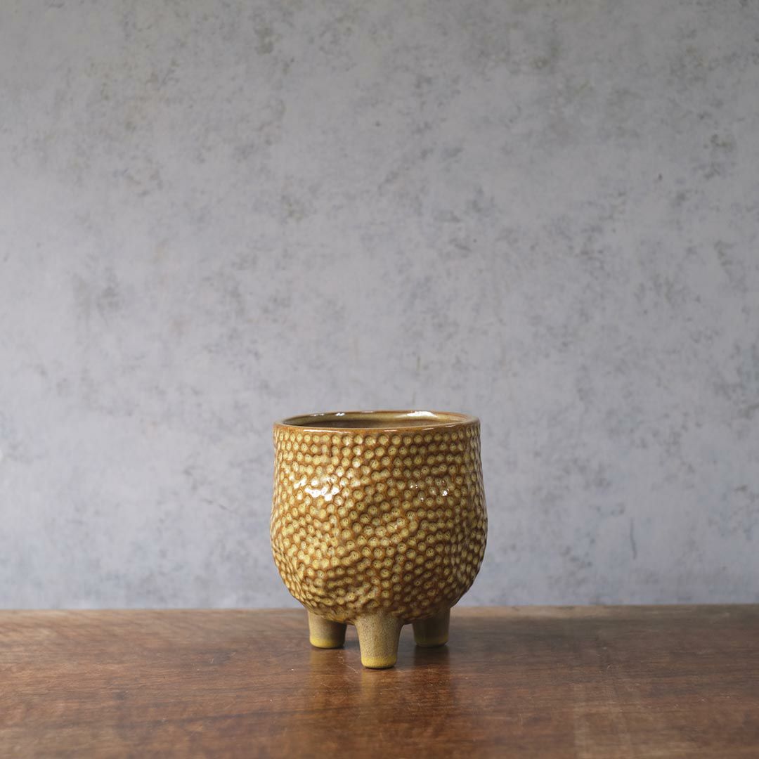 童話の鉢植えシリーズ 陶器のプランター&受け皿セット 3本足 ブラウン2