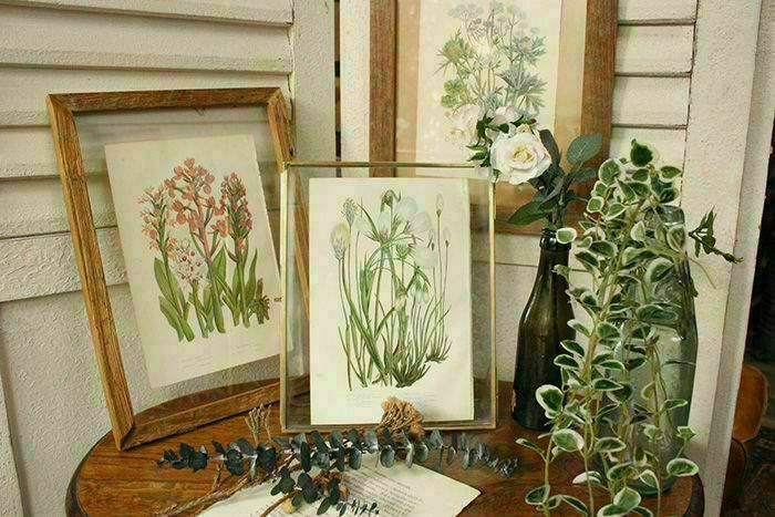 アンティークボタニカルリトグラフ 秋とシダ植物 100年以上前に描かれた色彩が美しい植物画