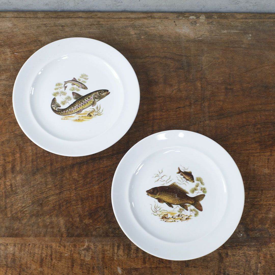 ヴィンテージ皿 Schumann Arzberg（シューマン・アルツベルク） ディナープレート 魚モチーフ ドイツ2