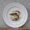 ヴィンテージ皿 Schumann Arzberg（シューマン・アルツベルク） ディナープレート 魚モチーフ ドイツ5