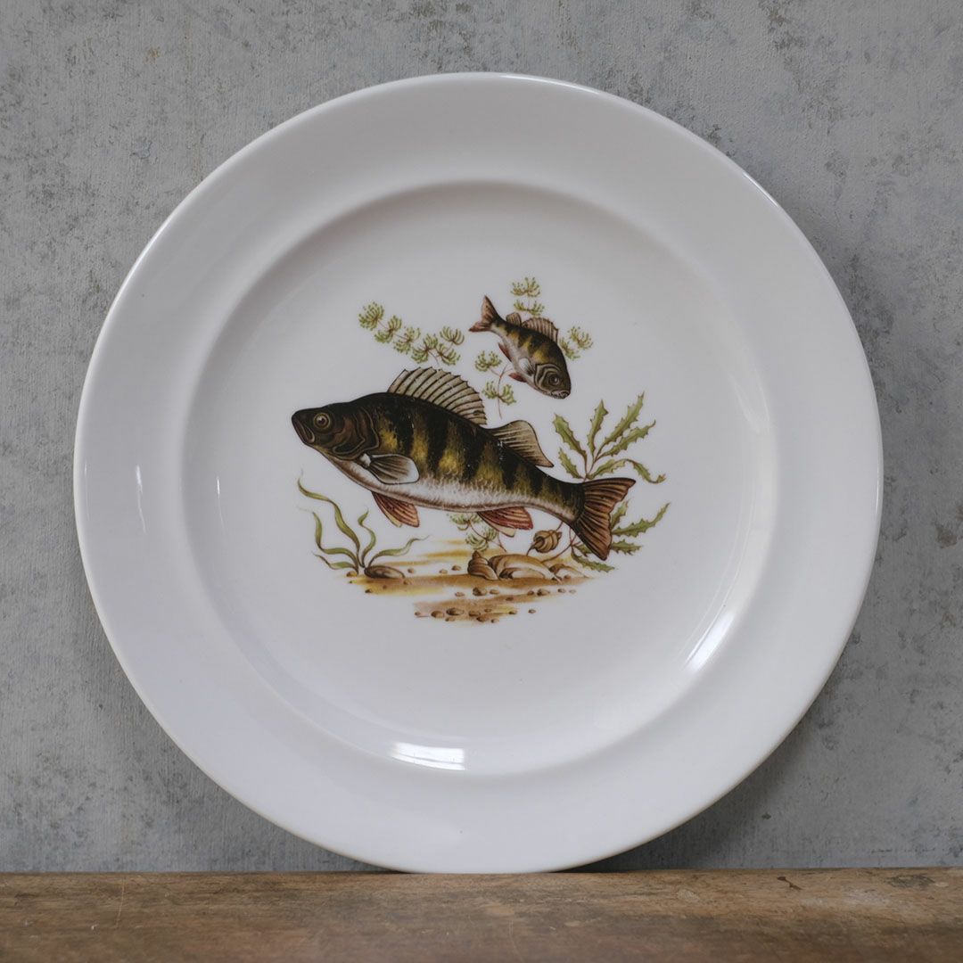 ヴィンテージ皿 Schumann Arzberg（シューマン・アルツベルク） ディナープレート 魚モチーフ ドイツ6