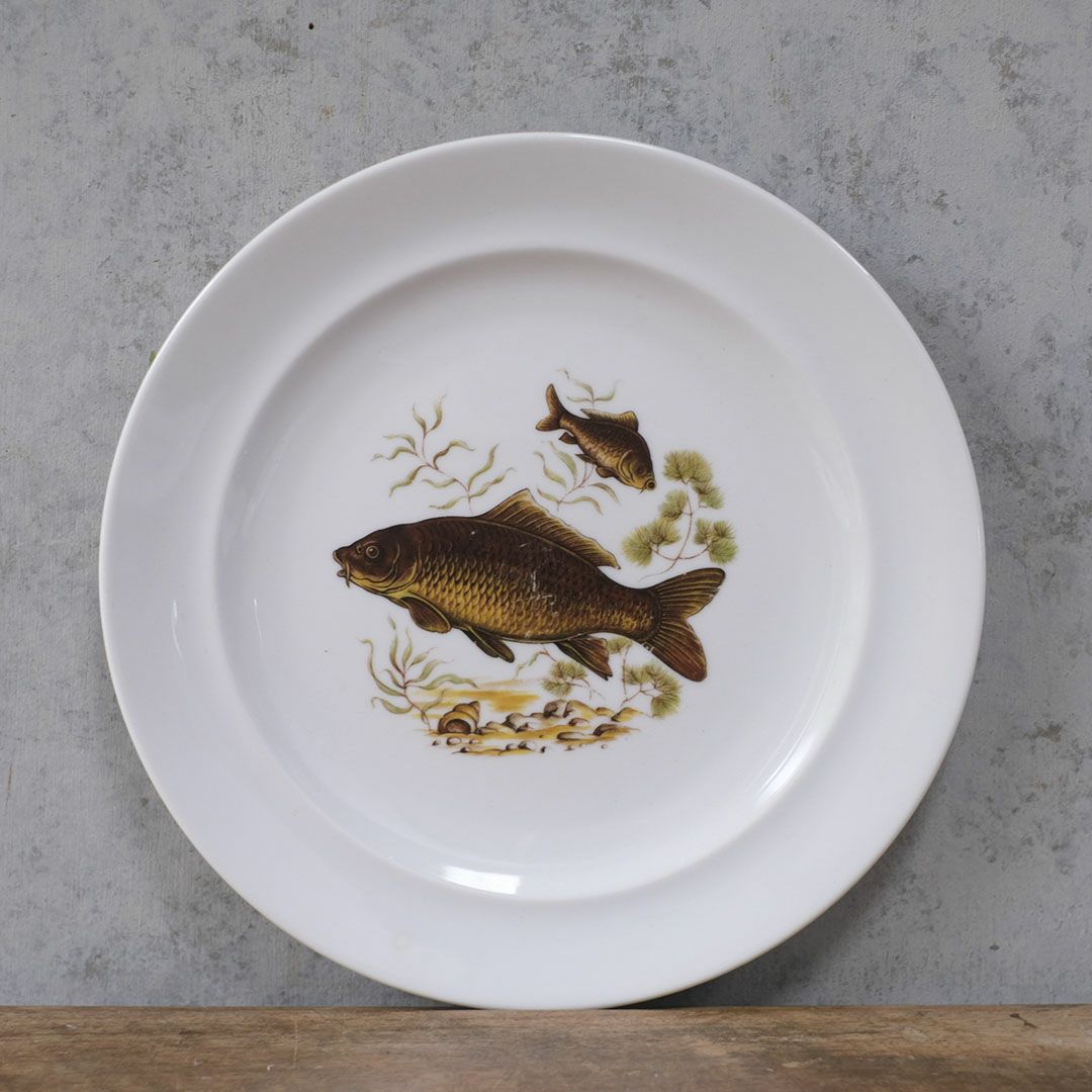 ヴィンテージ皿 Schumann Arzberg（シューマン・アルツベルク） ディナープレート 魚モチーフ ドイツ8