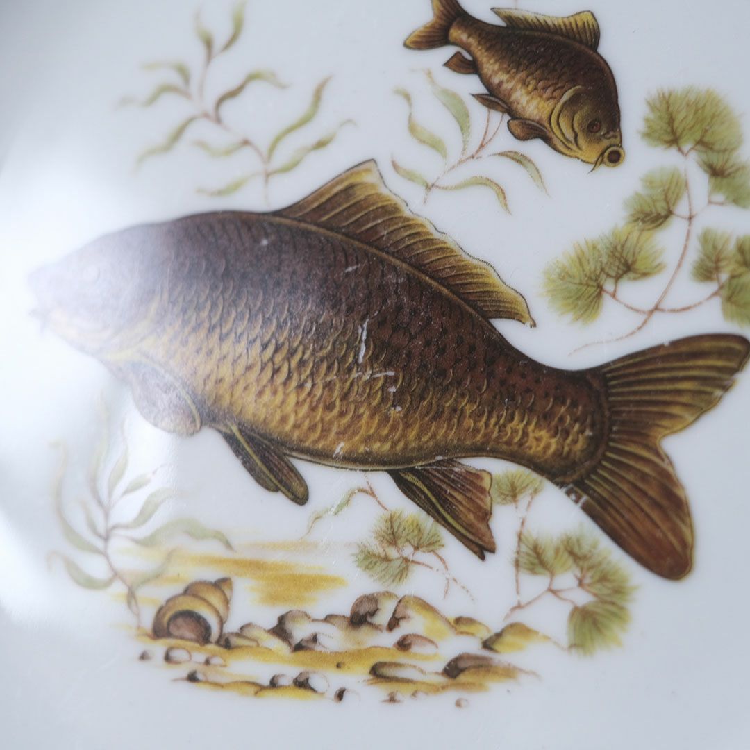 ヴィンテージ皿 Schumann Arzberg（シューマン・アルツベルク） ディナープレート 魚モチーフ ドイツ9