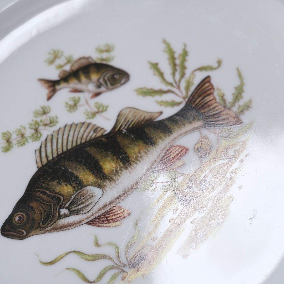 ヴィンテージ皿 Schumann Arzberg（シューマン・アルツベルク） ディナープレート 魚モチーフ ドイツ10