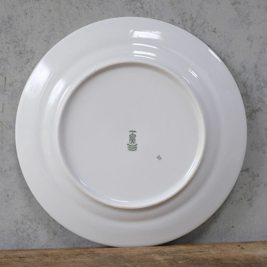 ヴィンテージ皿 Schumann Arzberg（シューマン・アルツベルク） ディナープレート 魚モチーフ ドイツ12