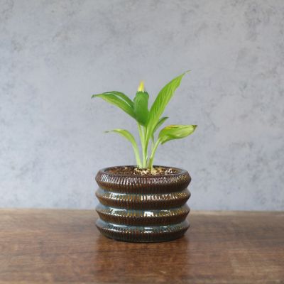 ガラスのユニークな花瓶の通販インテリアショップMALTO/マルト]