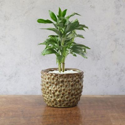 陶器のプランター イエローLサイズ オブジェのようなアート系鉢植え の