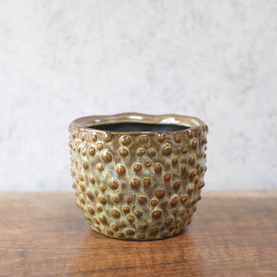 童話の鉢植えシリーズ 陶器のプランター ドットグレイズポット1