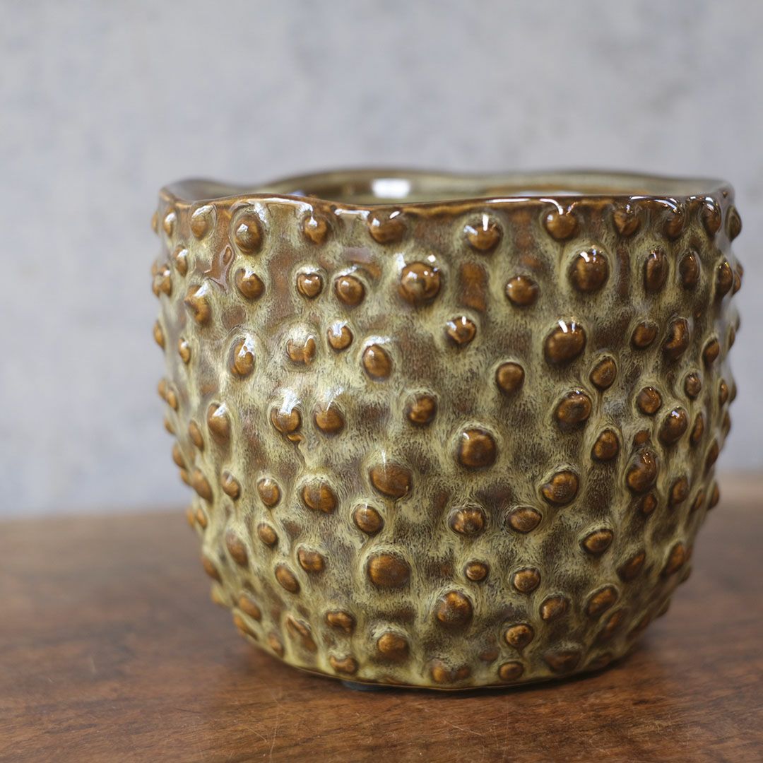 童話の鉢植えシリーズ 陶器のプランター ドットグレイズポット3