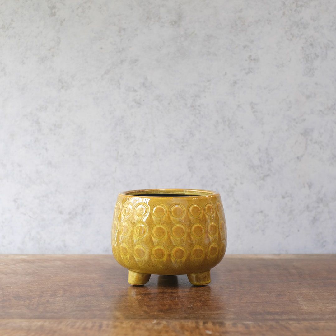 童話の鉢植えシリーズ 陶器のプランター 3つ足ポルカポット1