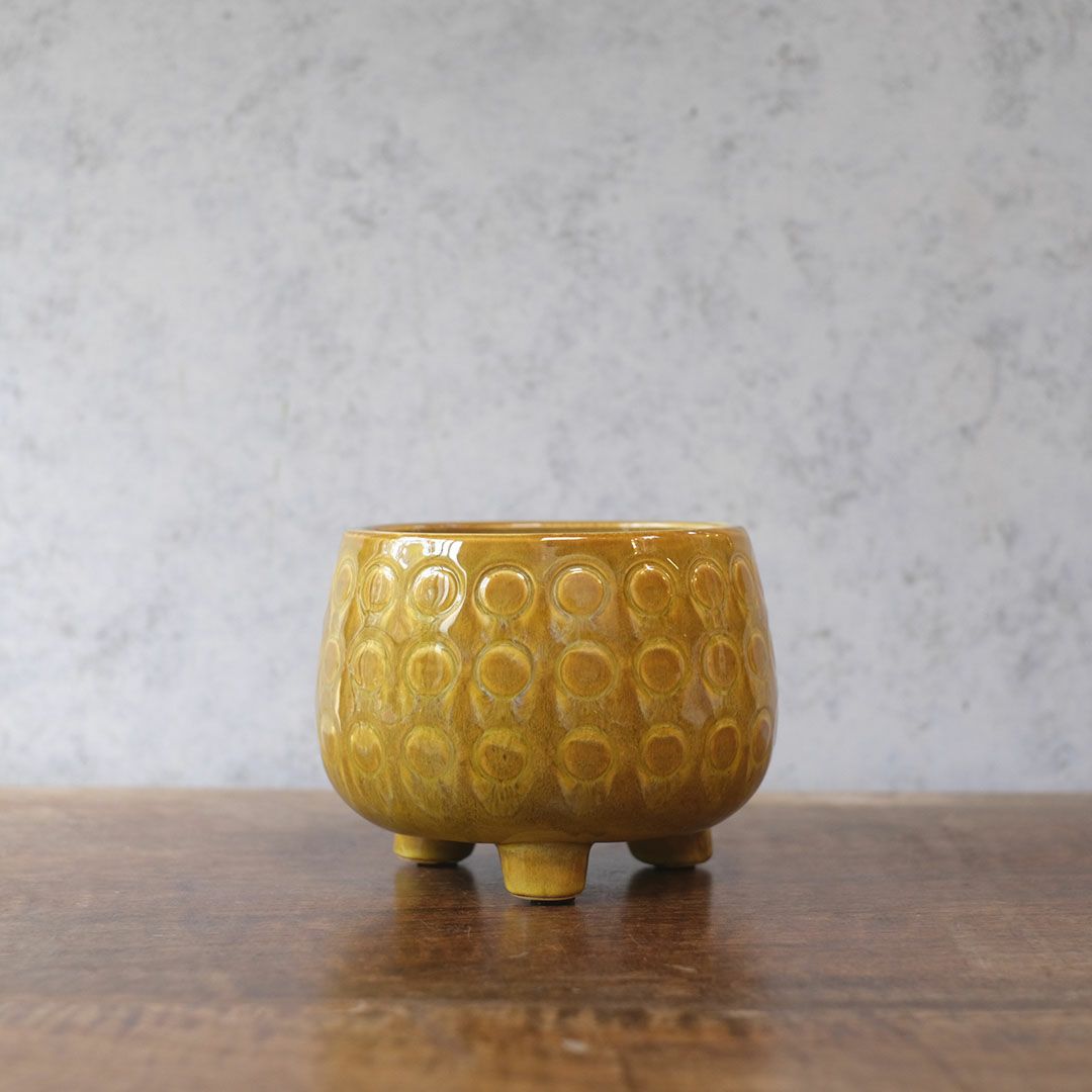 童話の鉢植えシリーズ 陶器のプランター 3つ足ポルカポット2