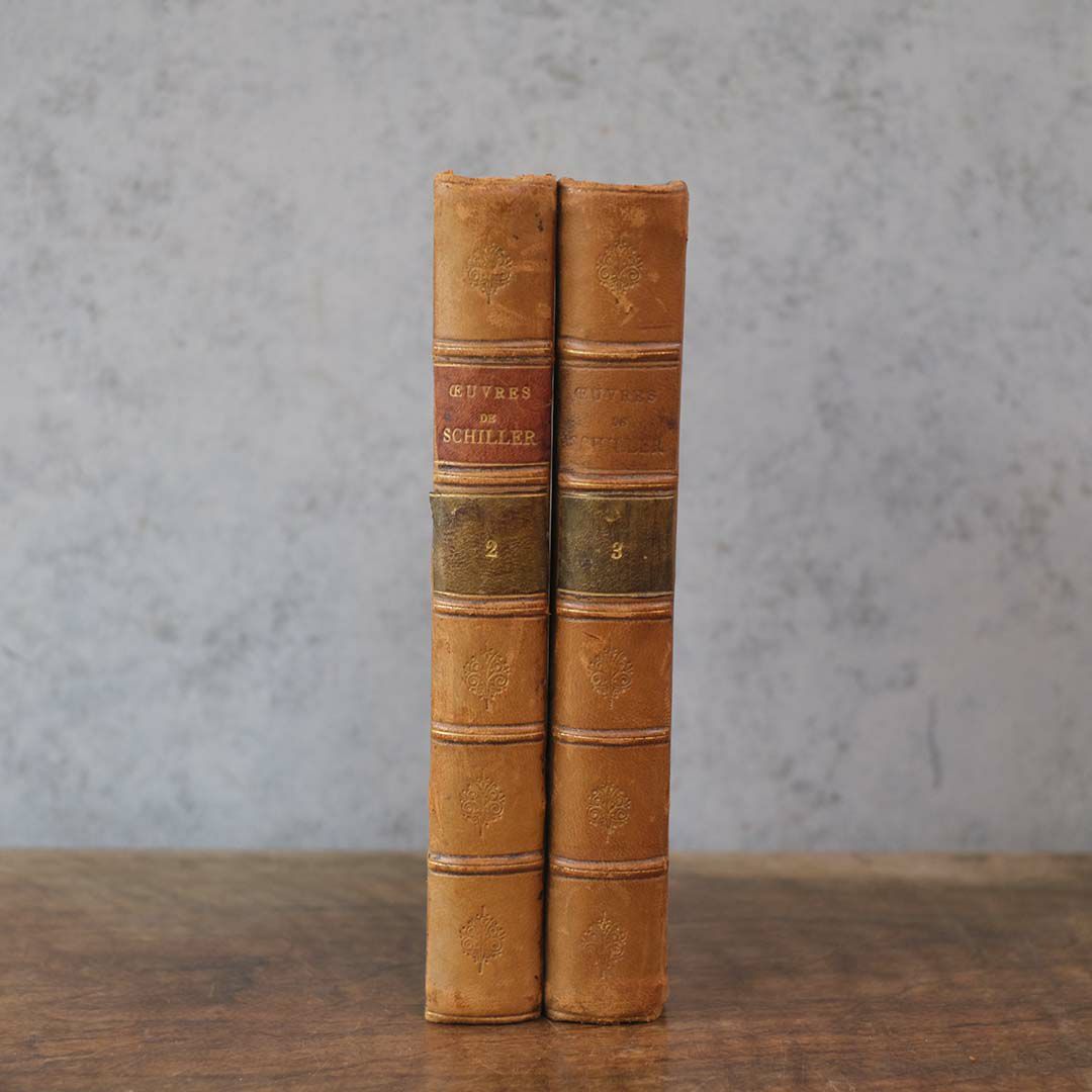 アンティークレザーブック 古書 フランス 革製1