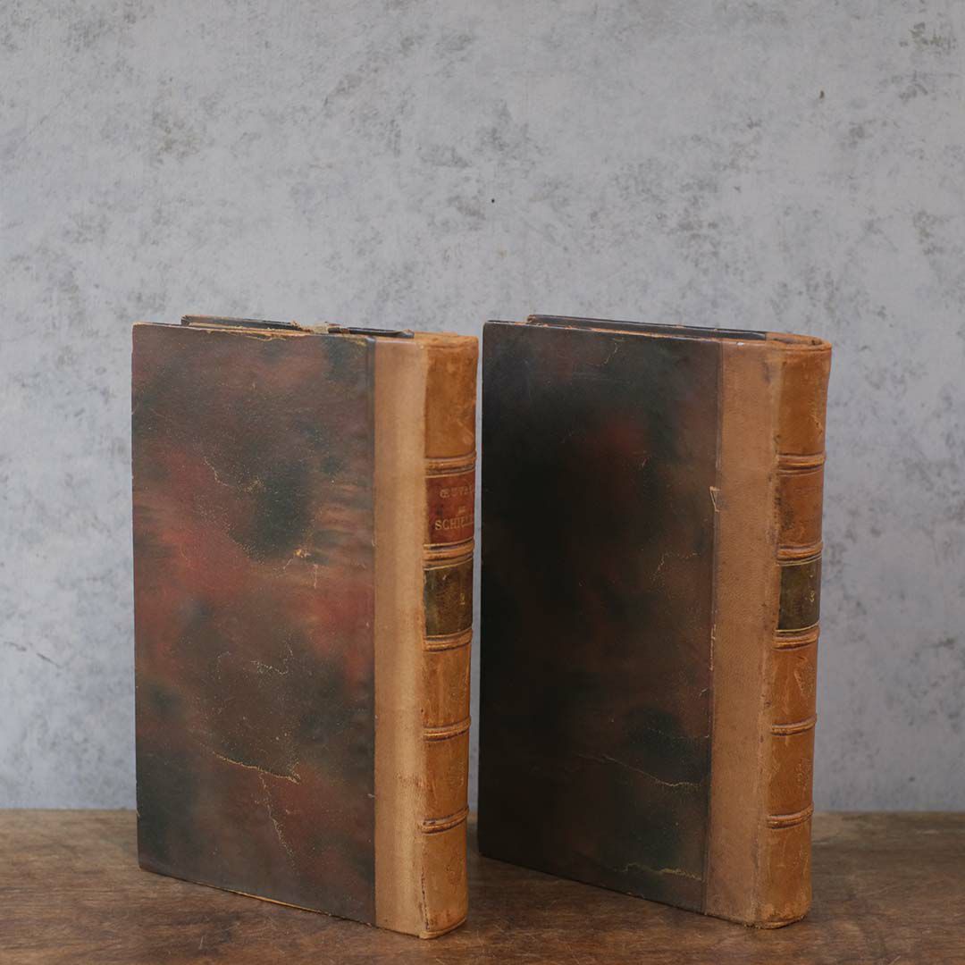 アンティークレザーブック 古書 フランス 革製2