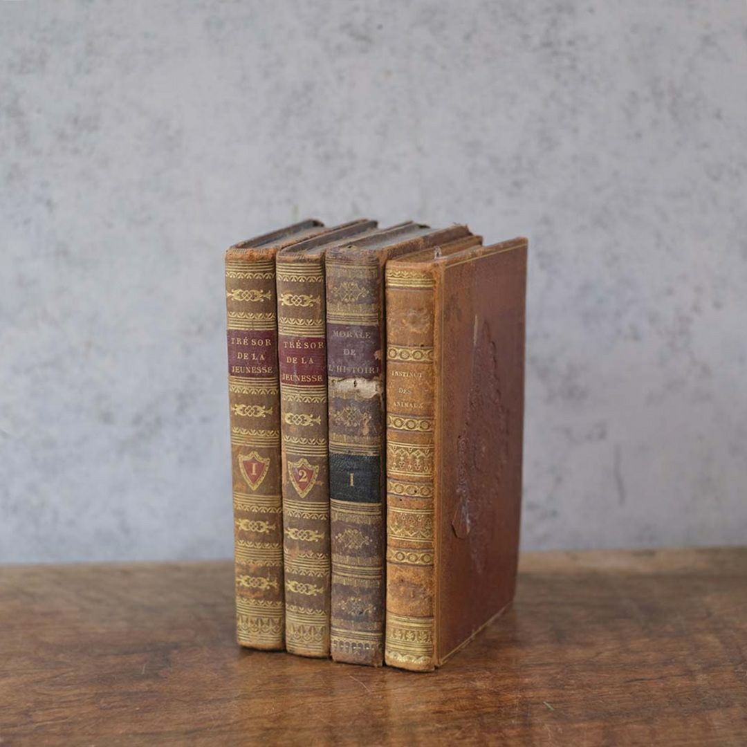 アンティークレザーブック 古書 本 19世紀 フランス 