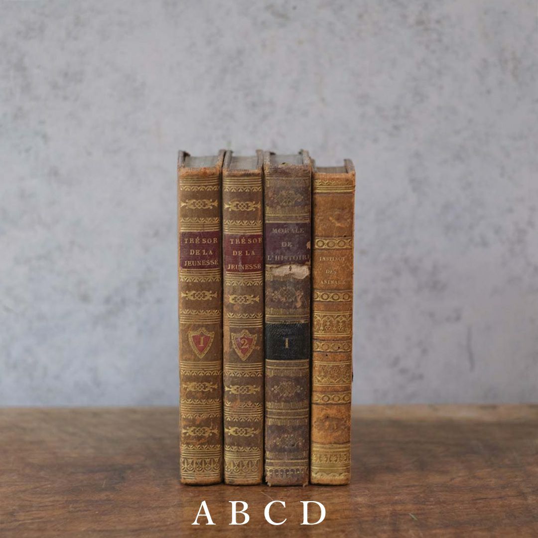 アンティークレザーブック 古書 本 19世紀 フランス 1