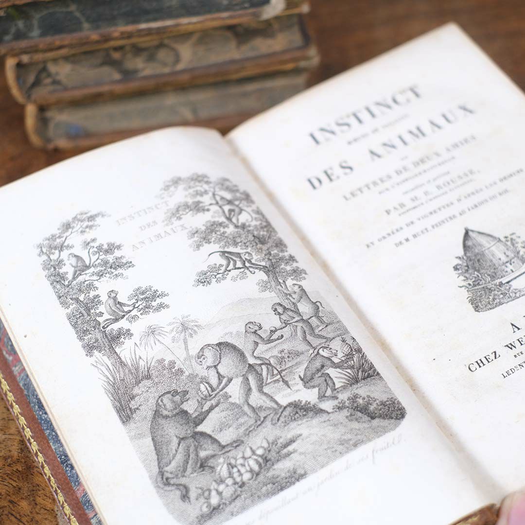 アンティークレザーブック 古書 本 19世紀 フランス 8