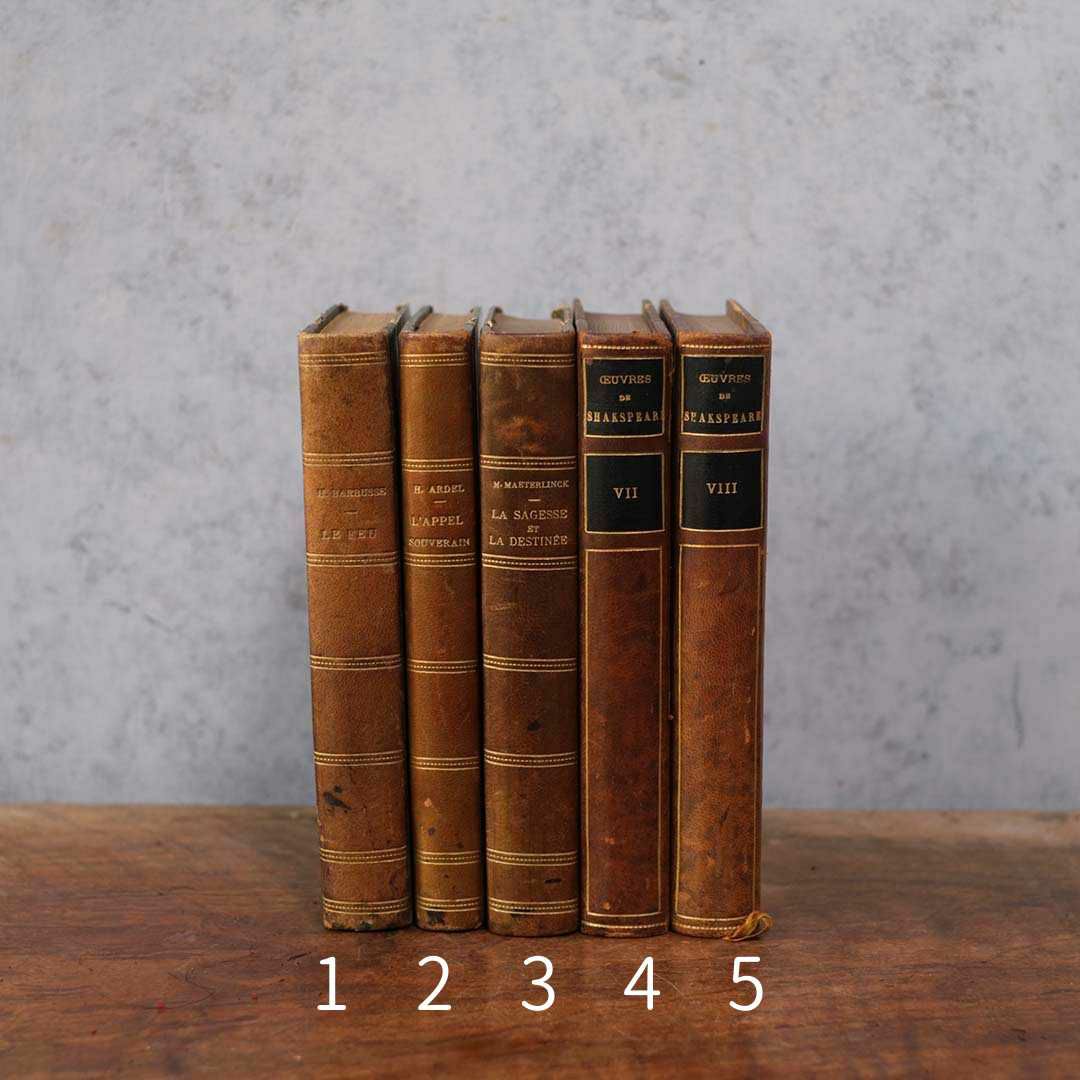  アンティークレザーブック 古書 フランス 革背表紙の本1