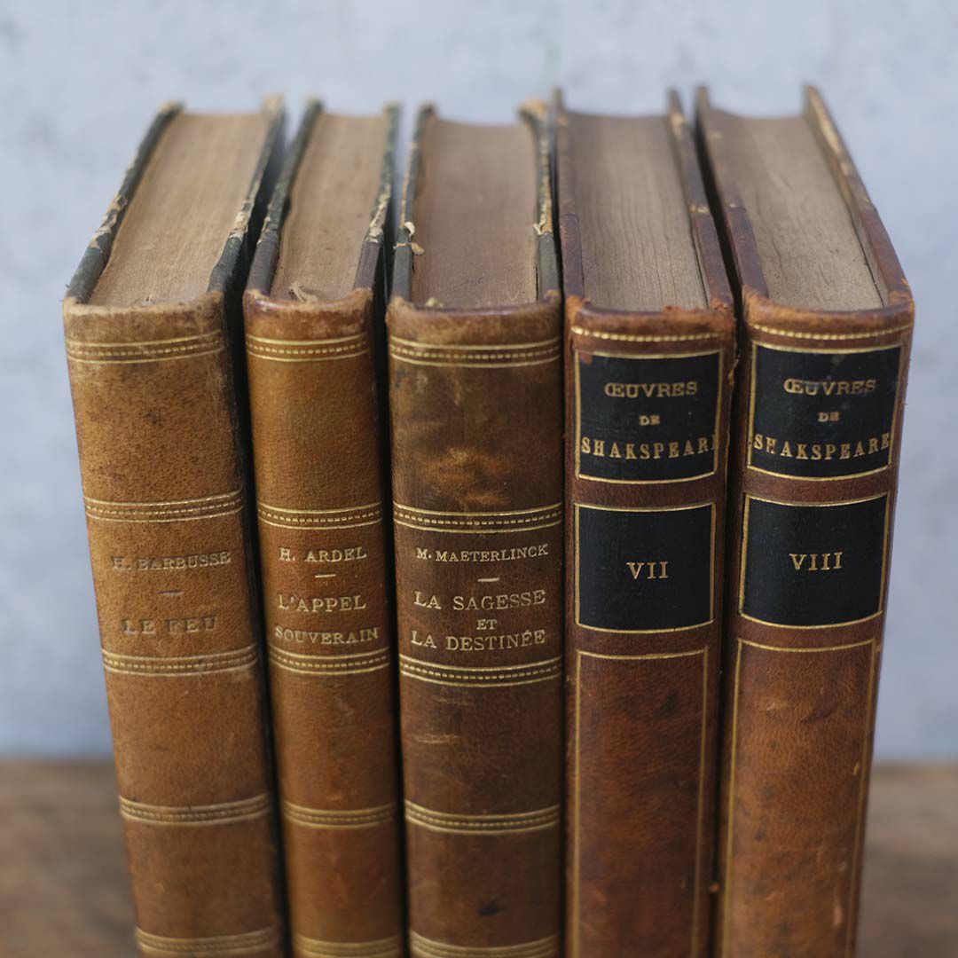  アンティークレザーブック 古書 フランス 革背表紙の本3