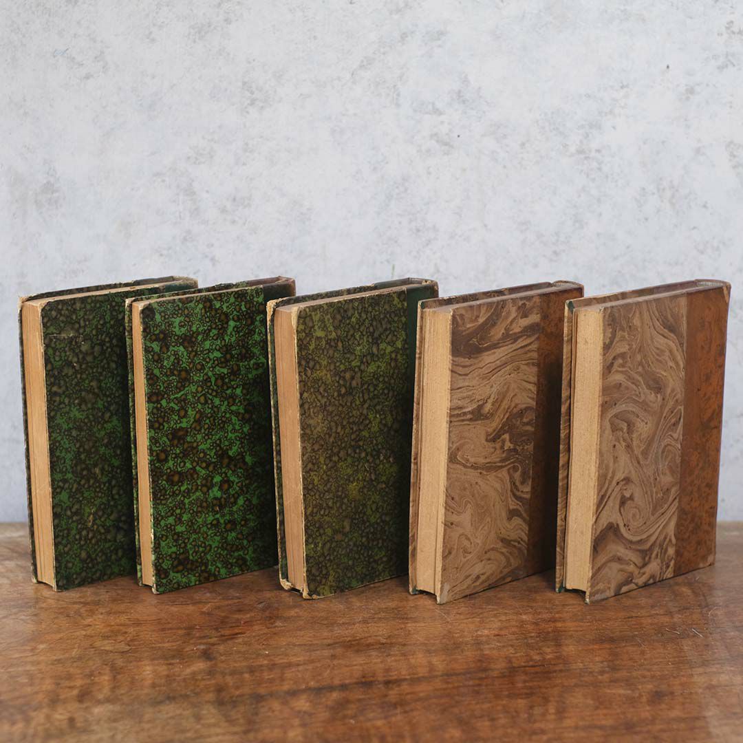  アンティークレザーブック 古書 フランス 革背表紙の本4