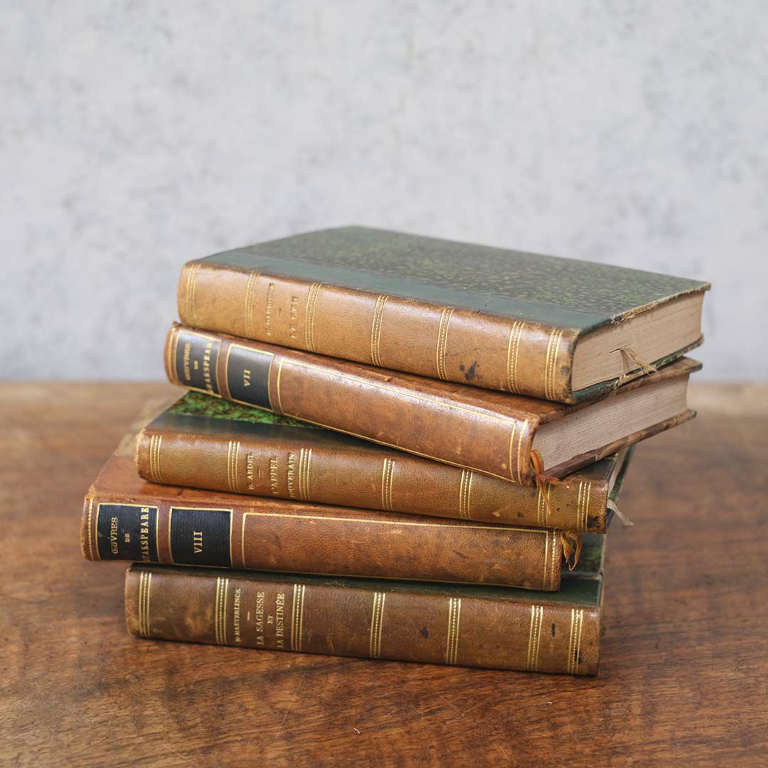  アンティークレザーブック 古書 フランス 革背表紙の本5