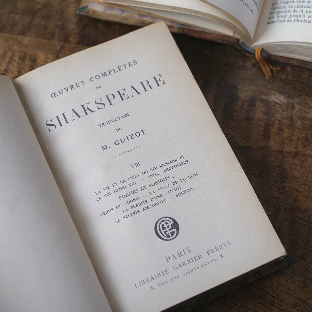  アンティークレザーブック 古書 フランス 革背表紙の本6