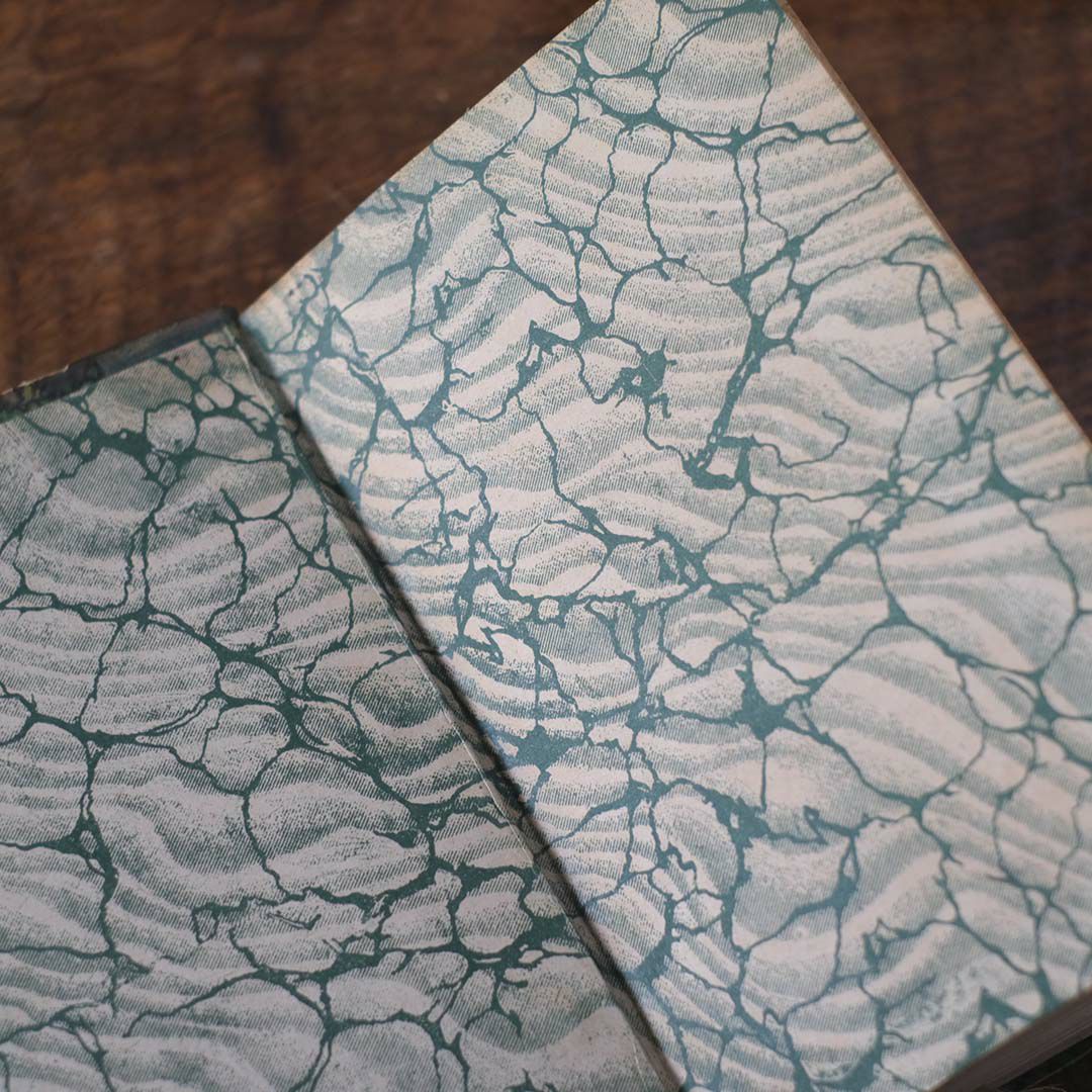  アンティークレザーブック 古書 フランス 革背表紙の本8