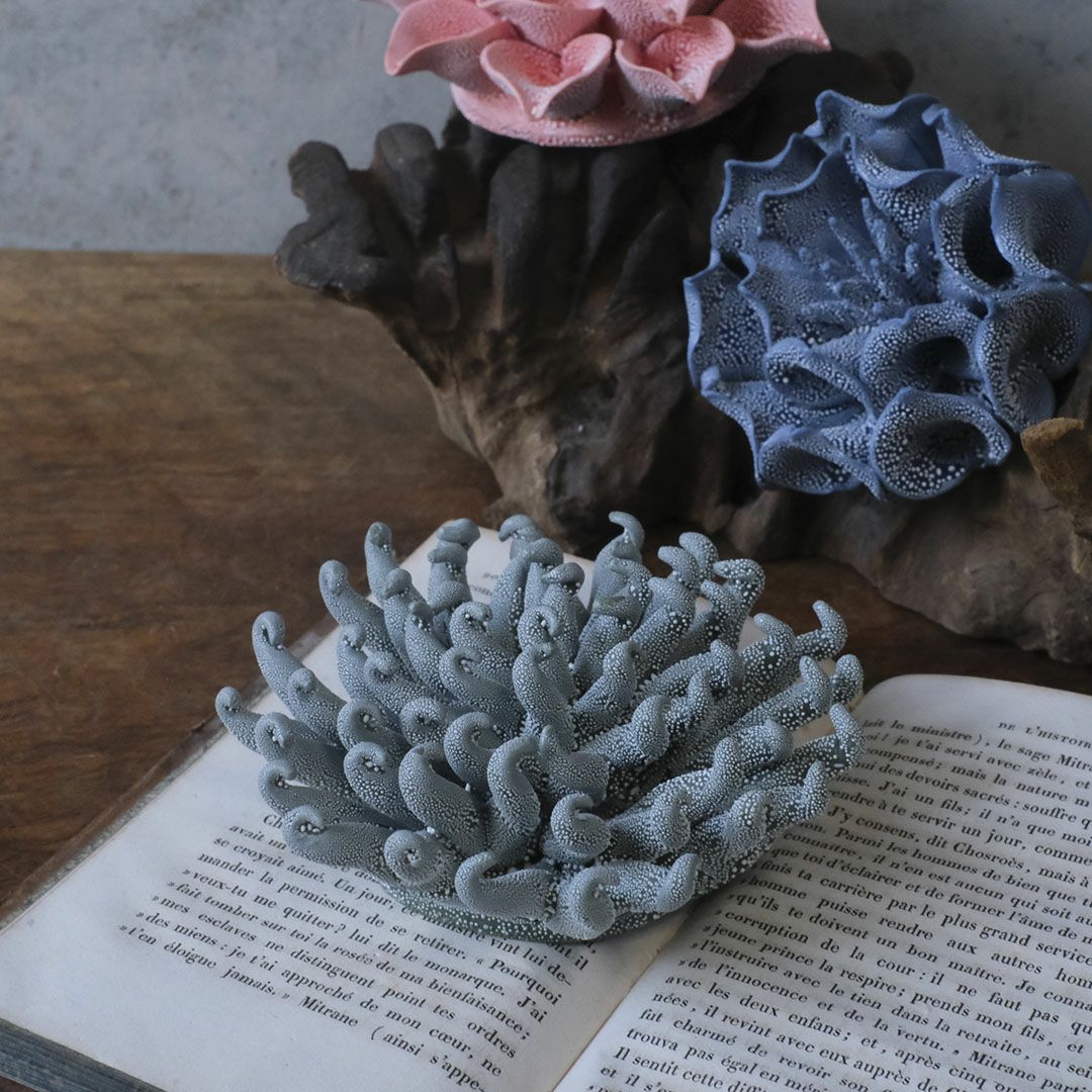 御神木 アート インテリア 生花 オブジェ 御神木 アート インテリア