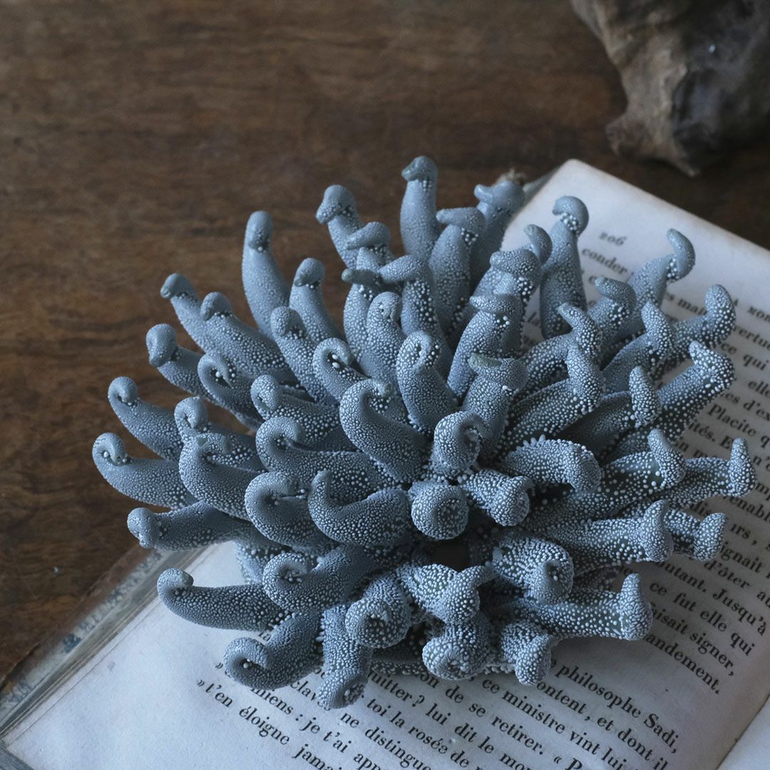 童話モチーフの幻花オブジェ ペーパーウェイトにも使える