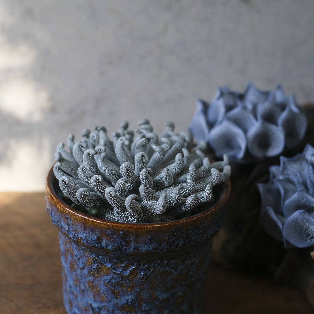 童話世界の花をイメージしたスカルプチャー アートプロダクト