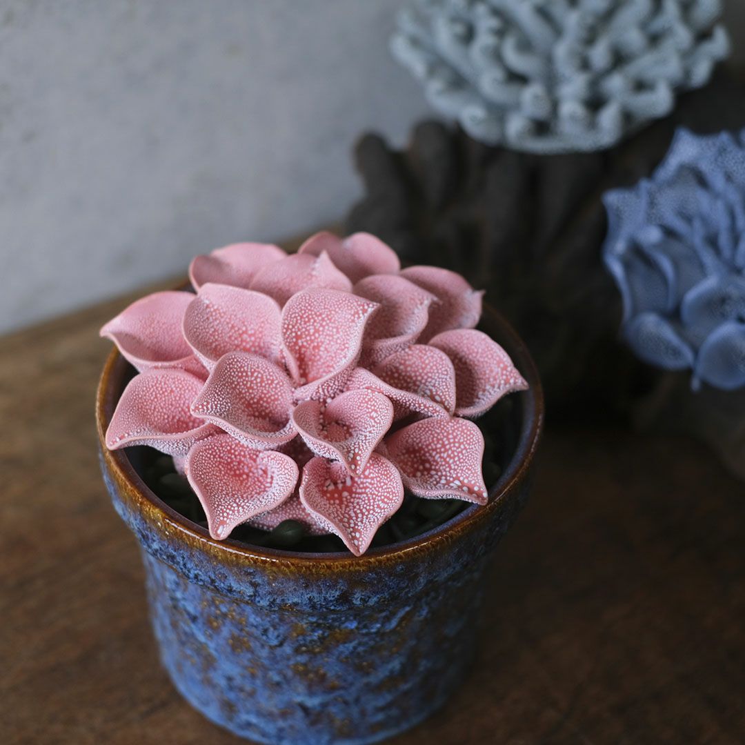 小さな鉢に入れたABYSSALピンクの花オブジェのディスプレイ例