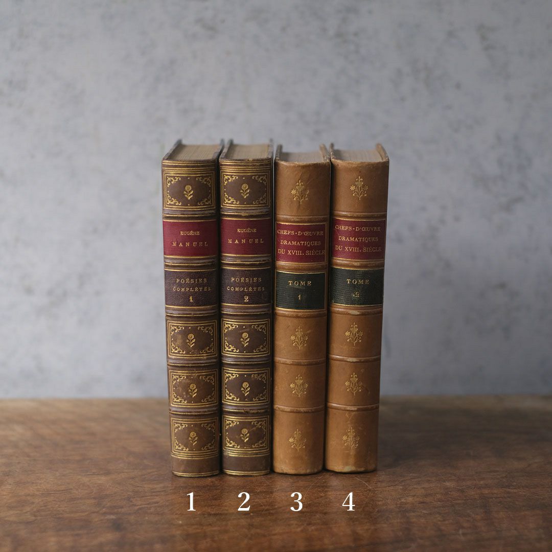 アンティークブック 革張りの古書 ヨーロッパ1