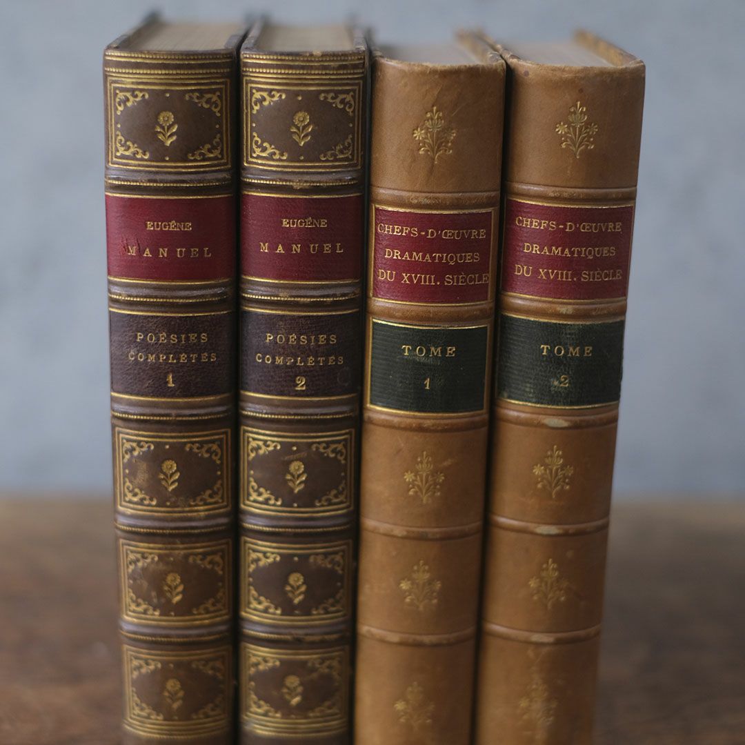 アンティークブック 革張りの古書 ヨーロッパ2