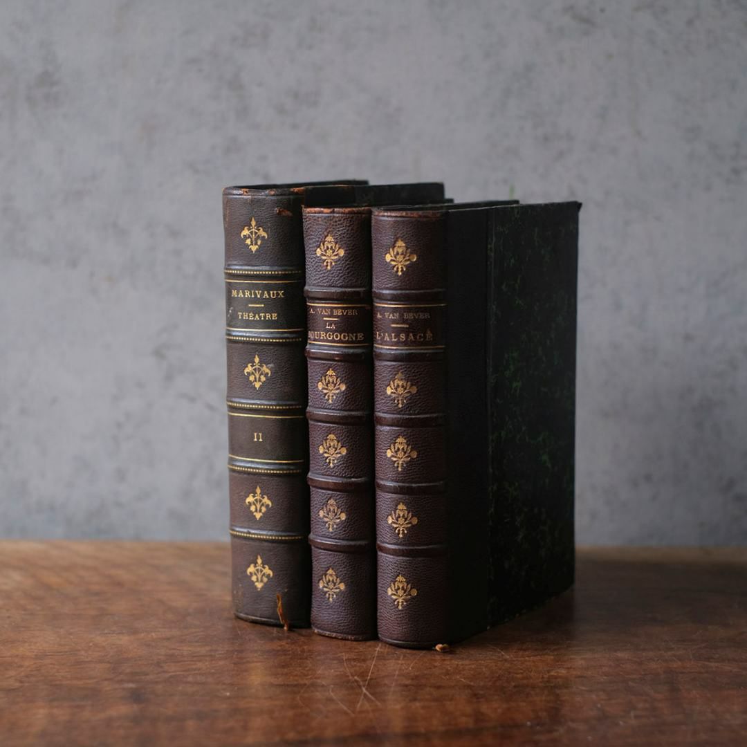 アンティークレザーブック 革張りの本