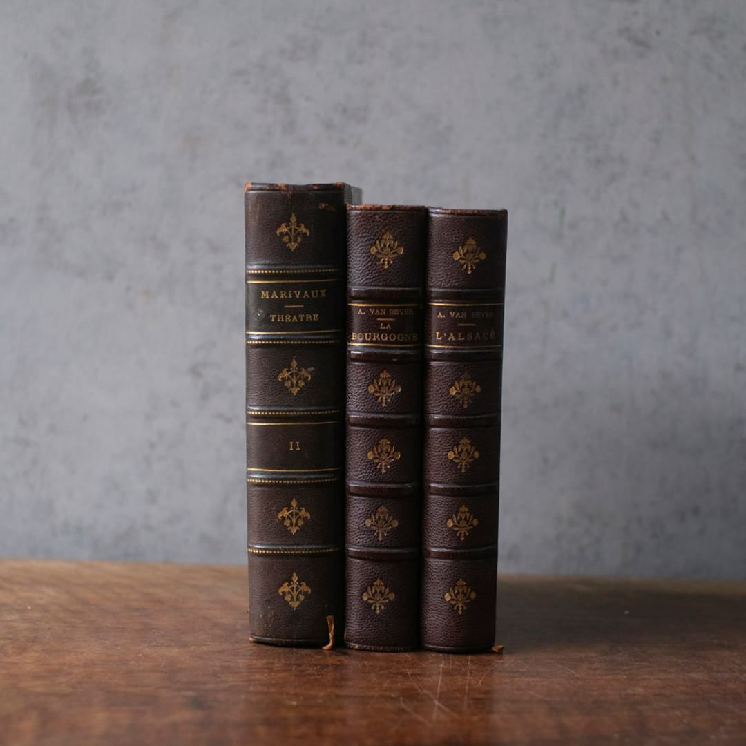 アンティークレザーブック 革張りの本1