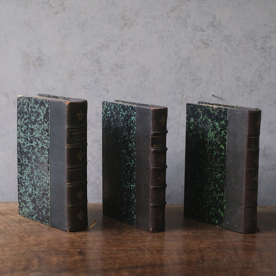 アンティークレザーブック 革張りの本2