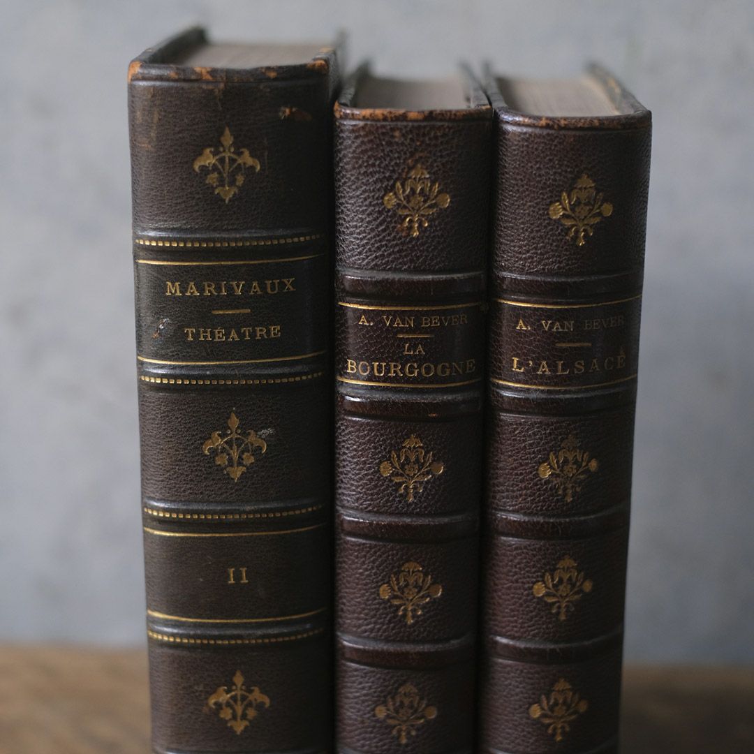 アンティークレザーブック 革張りの本3