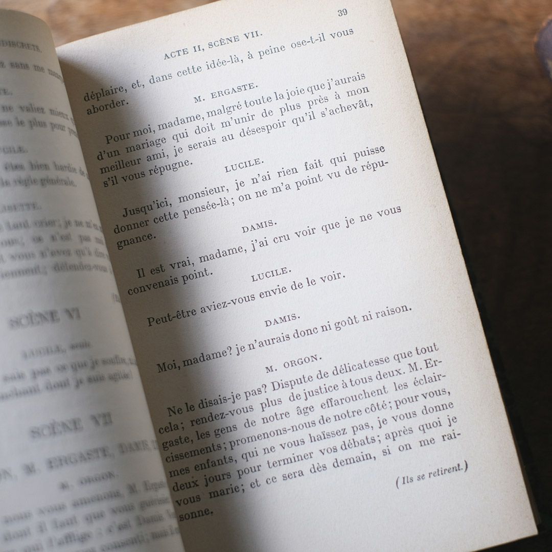 アンティークレザーブック 革張りの本5