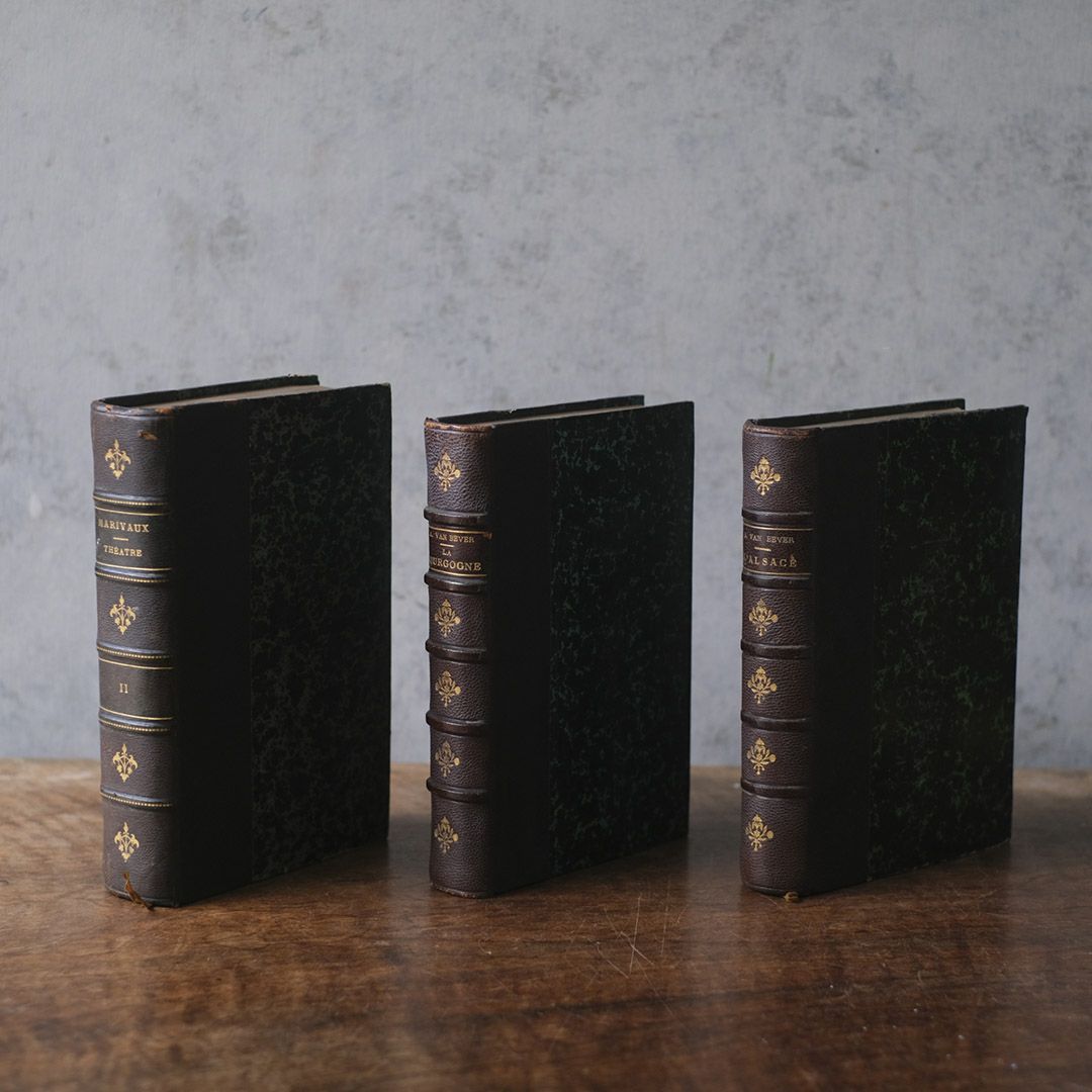 アンティークレザーブック 革張りの本6