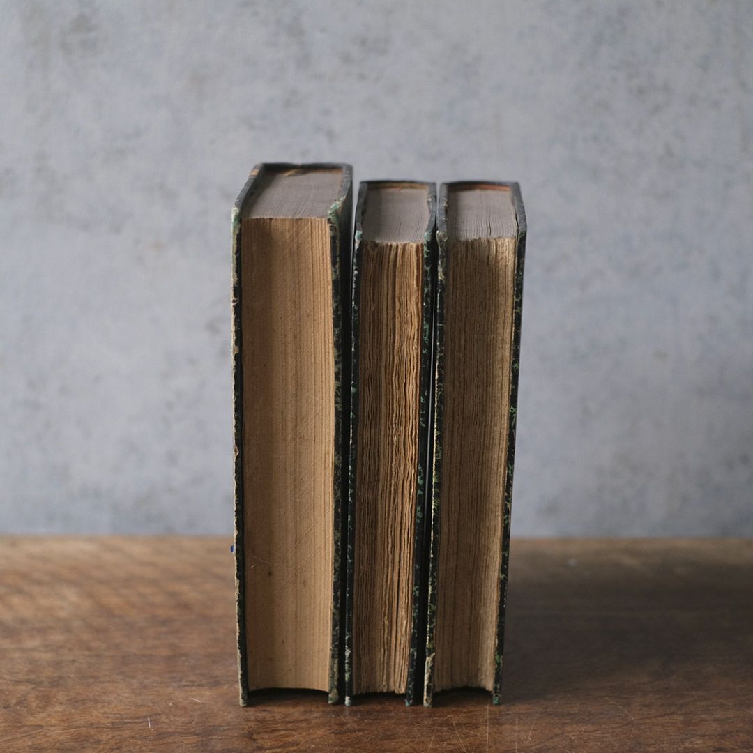 アンティークレザーブック 革張りの本7