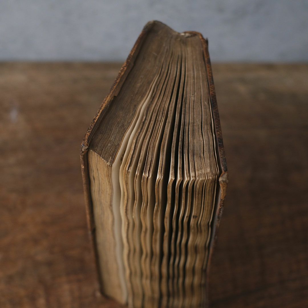 アンティークブック 革製の本10